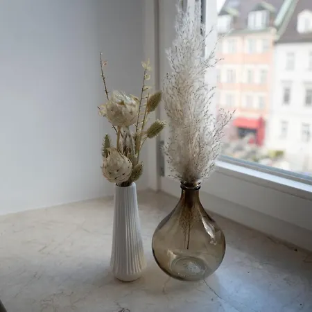 Maximilianstrasse شقة