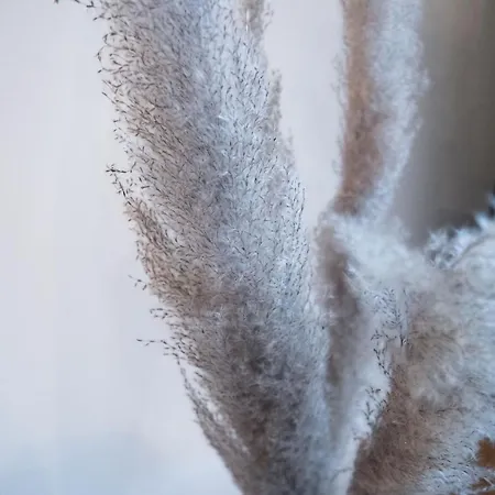 Maximilianstrasse Аугсбург