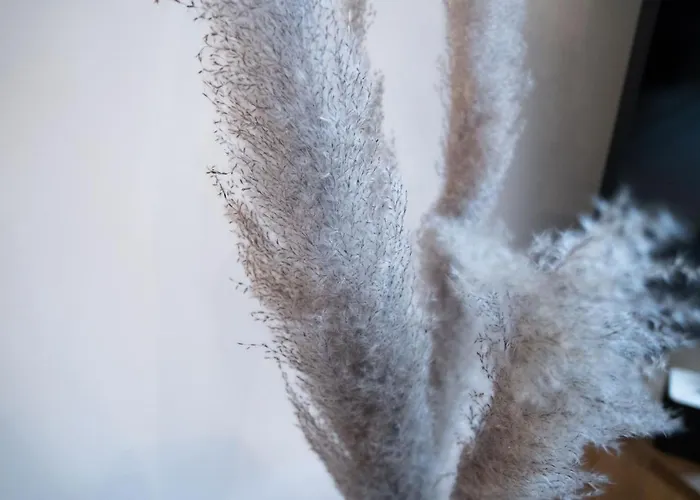 Maximilianstrasse Augsburg